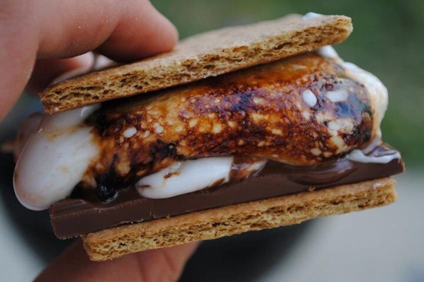 Musher's Camp® and S'More Roasting 4