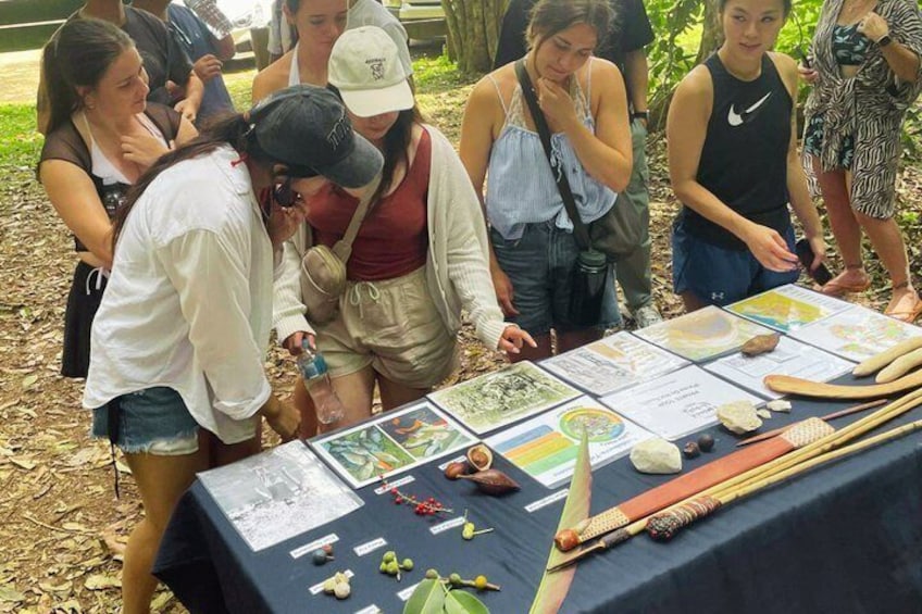 Atherton Tablelands: 2-Hour Private Aboriginal Culture Tour 5