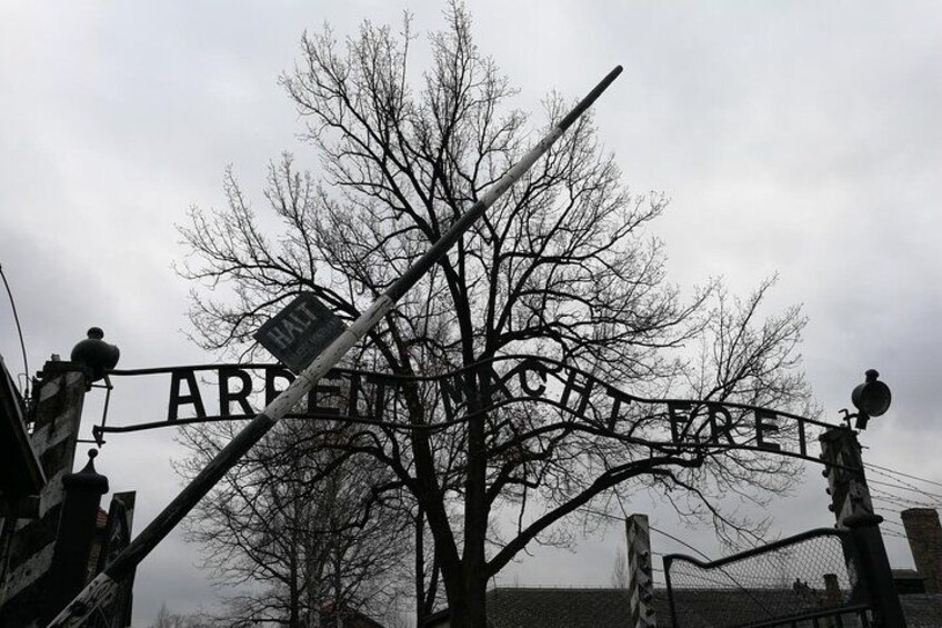 Auschwitz Birkenau Shared Guided Tour from Krakow 1