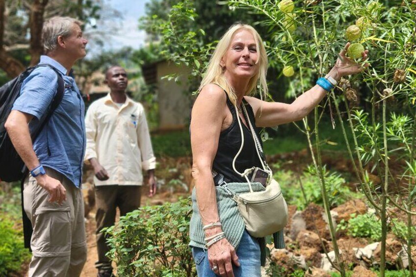 A woman examining a plant with green fruits in a lush garden. 4