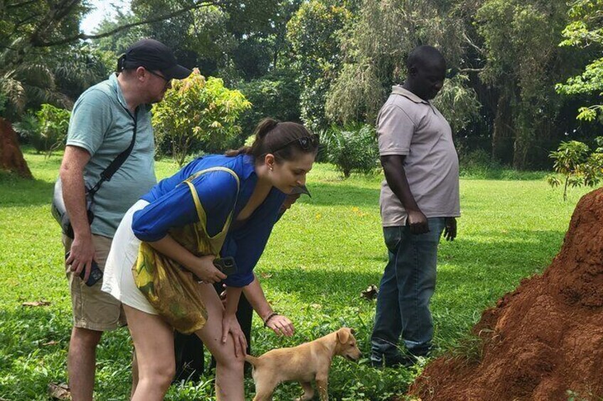 Three people in a park with a dog. 1