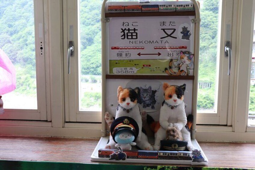 Kurobe Gorge Railway Private Tour 2