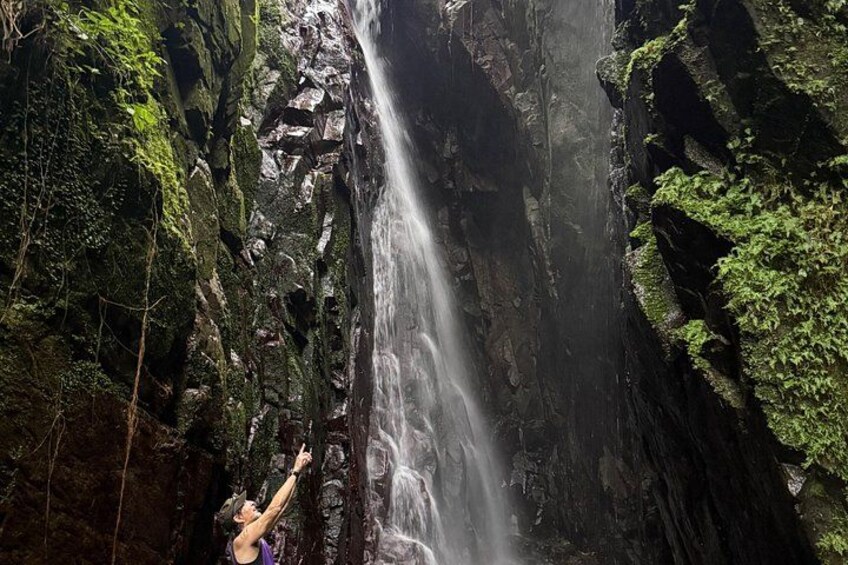 Puerto Rico Waterfall Hike and Guavate Small-Group Tour 2