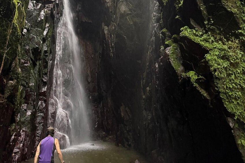 Puerto Rico Waterfall Hike and Guavate Small-Group Tour 3