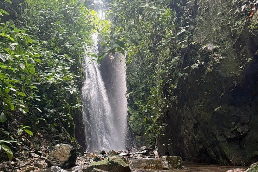 Puerto Rico Waterfall Hike and Guavate Small-Group Tour 5