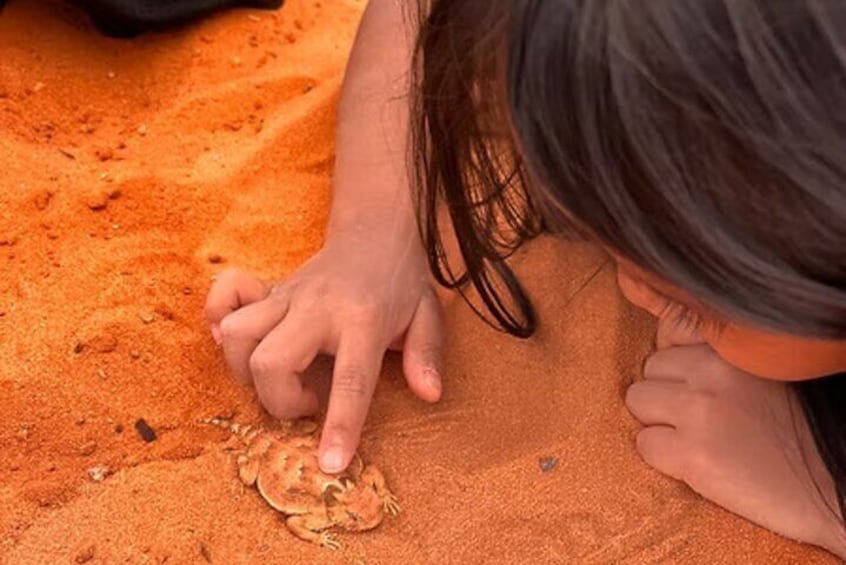 A person digging in the sand. 3