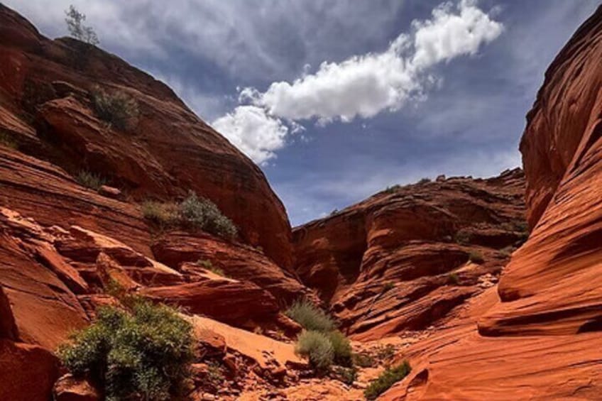 A red rock canyon with a narrow passageway and sparse vegetation. 2