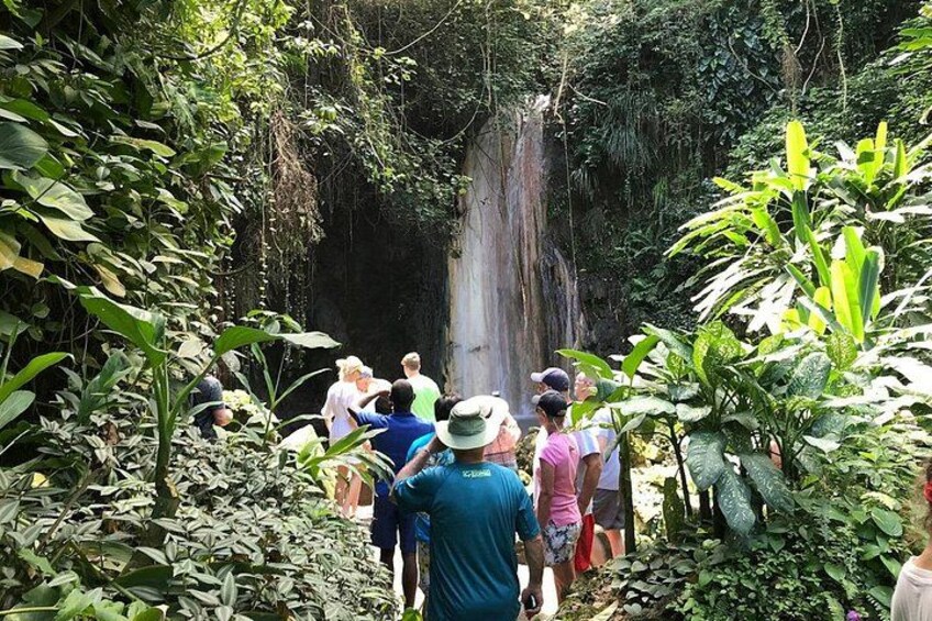 A waterfall surrounded by dense tropical vegetation. 1