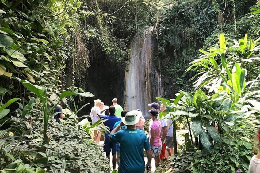 A group of people standing in a forested area looking at a waterfall. 1