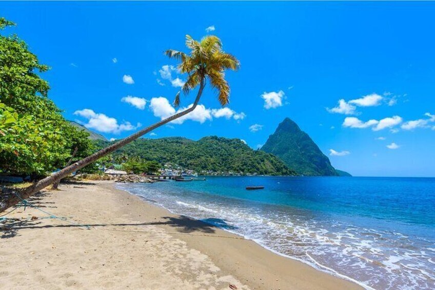 A beach with clear blue water, a palm tree, and a mountain in the background. 3