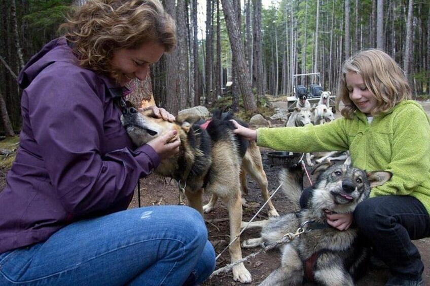 To personer leger med hunde i et skovområde. 5