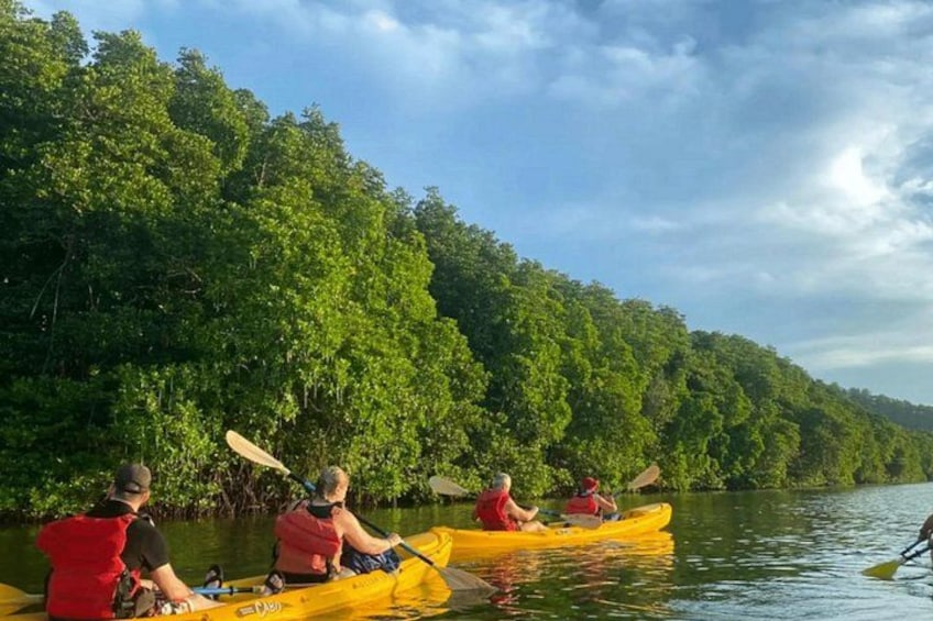 People kayaking on a river surrounded by dense green forest. 4