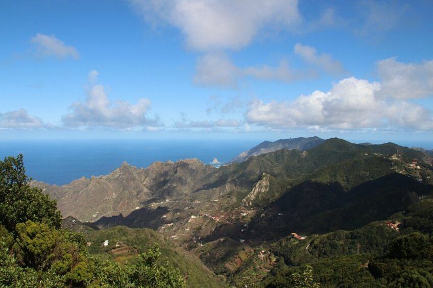 Santa Cruz, Laguna and Laurisilva Forest Tour 2