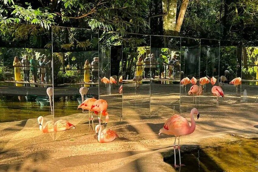 Flamencos en un recinto zoológico con suelo arenoso y una fuente de agua. 2