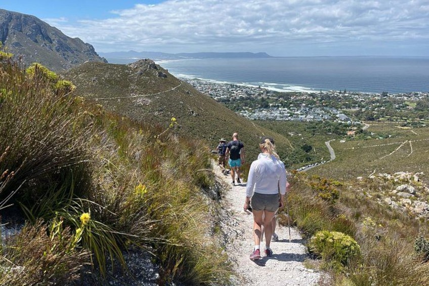 A hiking trail with hikers, coastal landscape, and a town in the distance. 2