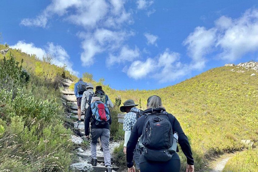 A group of hikers ascending a rocky trail in a hilly area with sparse vegetation. 1