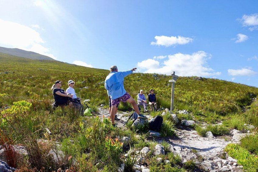 A group of people hiking on a rocky trail with grass and wildflowers, a clear sky, and a mountain in the background. 5