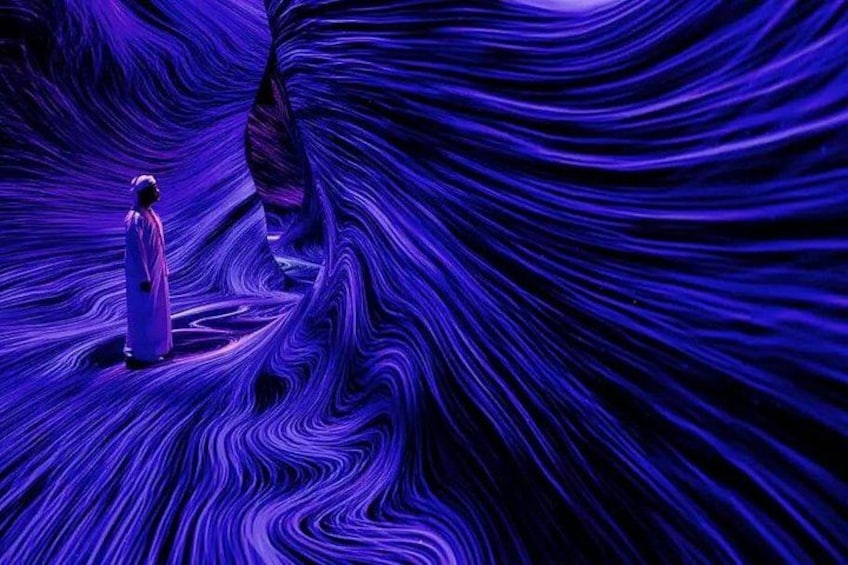 TeamLab Phenomena – Interactive Light, Sound & Motion Wonders 5