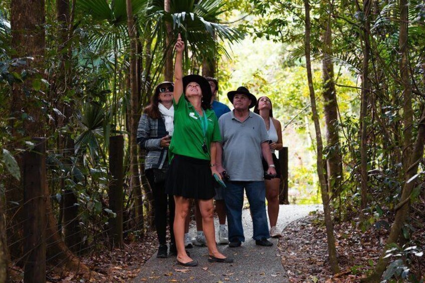 A group of people walking on a path surrounded by dense tropical foliage. 5