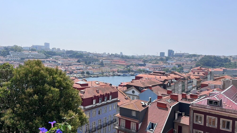 A coastal cityscape with red-roofed buildings, a river, and a distant hill with construction cranes. 2
