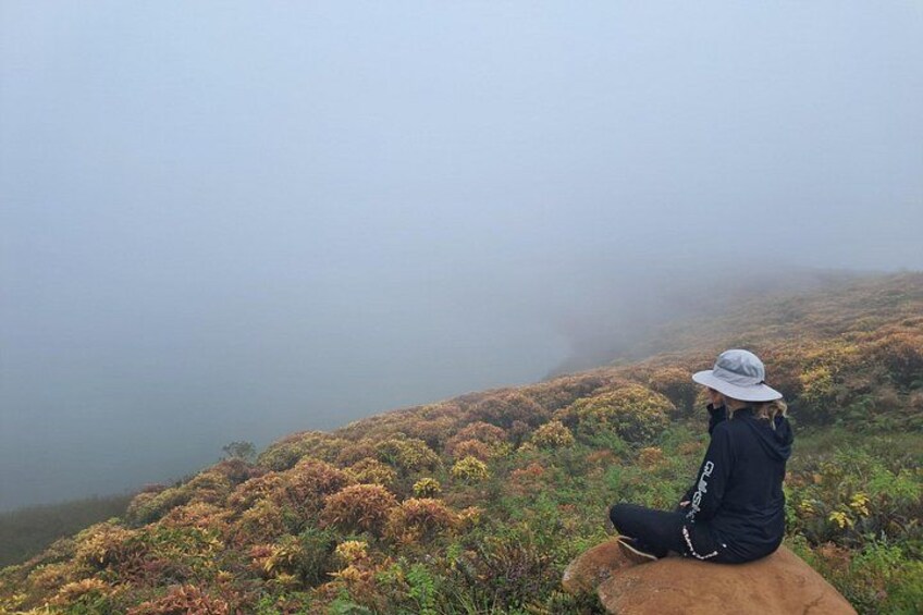 A person sitting on a rock, overlooking a foggy landscape with autumn-colored foliage. 2