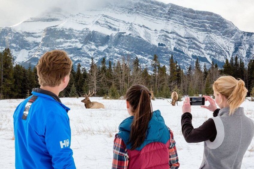 Three people observing wildlife in a snowy landscape with mountains in the background. 3