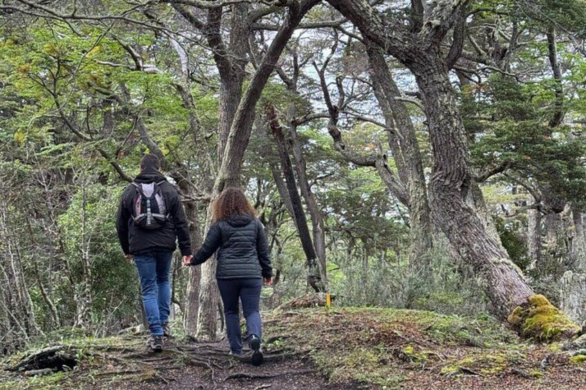 Två personer promenerar på en stig i skogen. 5