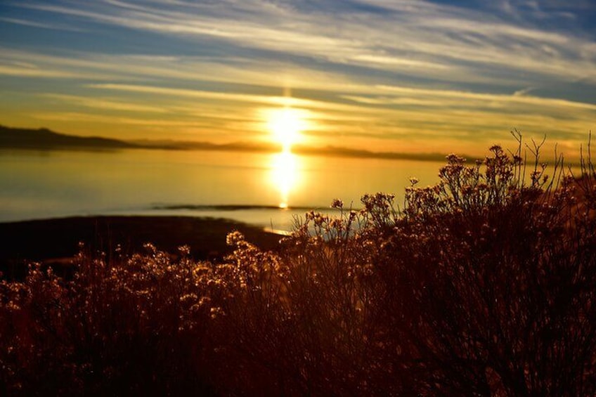 Antelope Island Sunset Wildlife Expedition Great Salt Lake Tour 2