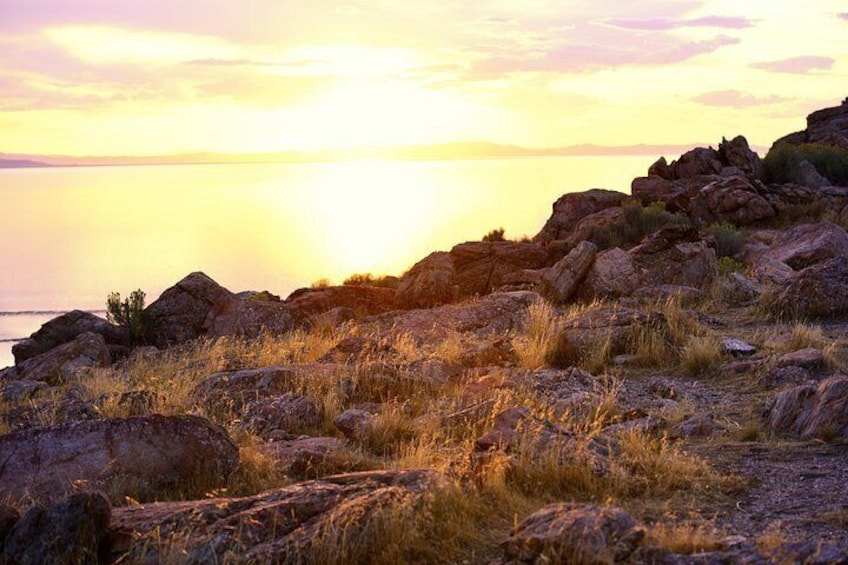 Antelope Island Sunset Wildlife Expedition Great Salt Lake Tour 5