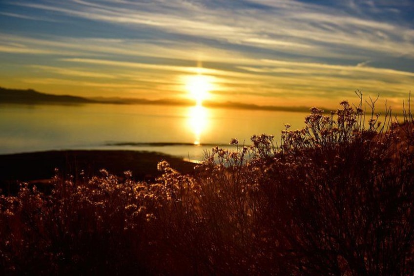 Antelope Island Sunset Wildlife Expedition Great Salt Lake Tour 2