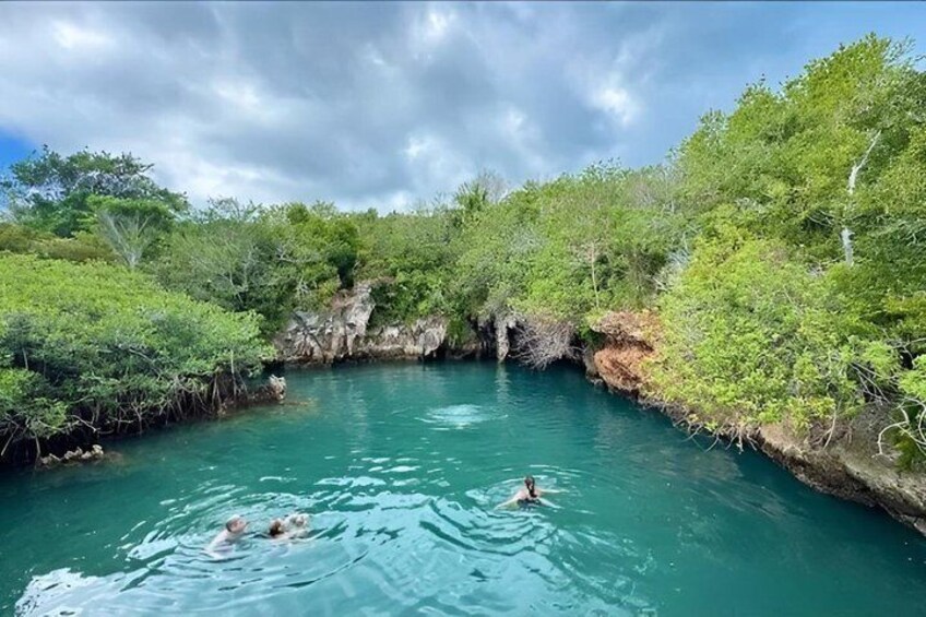 A natural pool surrounded by lush greenery and rocky cliffs. 5