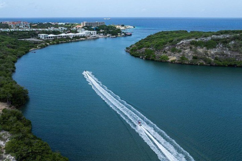 Un bateau filant à toute vitesse sur une étendue d’eau calme, entouré d’une végétation luxuriante et avec, au loin, une côte bordée de bâtiments. 2