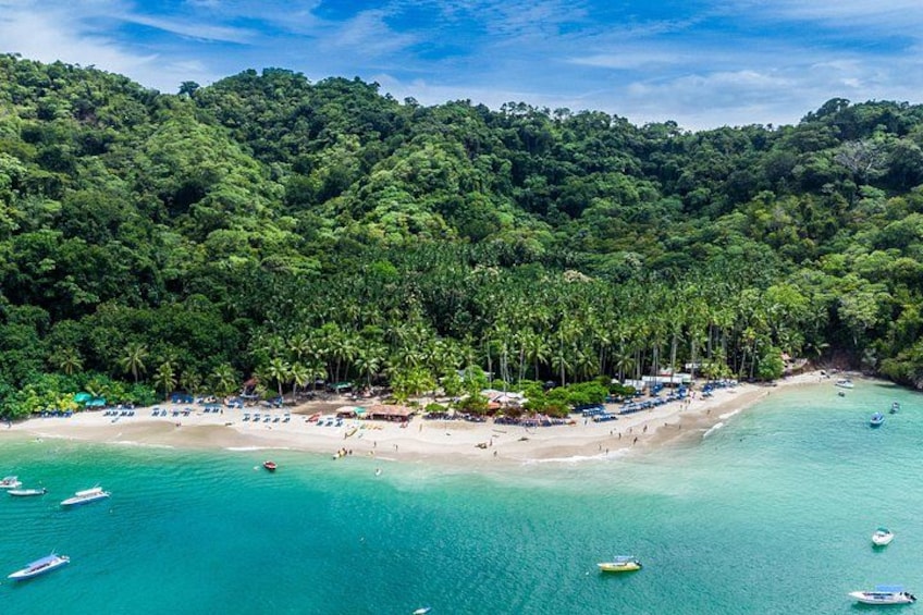 A tropical beach with clear turquoise waters, palm trees, and beach umbrellas. 1