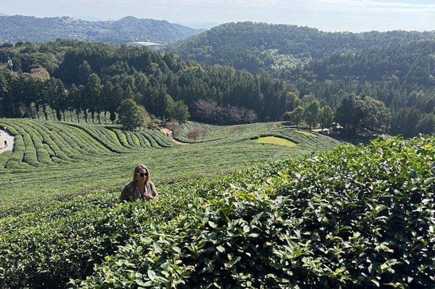 A person in a tea plantation with terraced fields and distant hills. 5