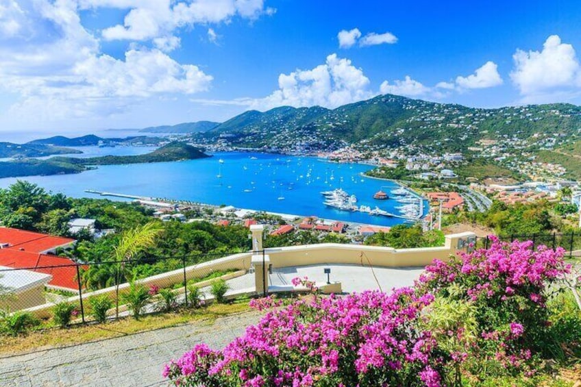 A coastal town with a marina, boats, and pink flowers in the foreground. 1