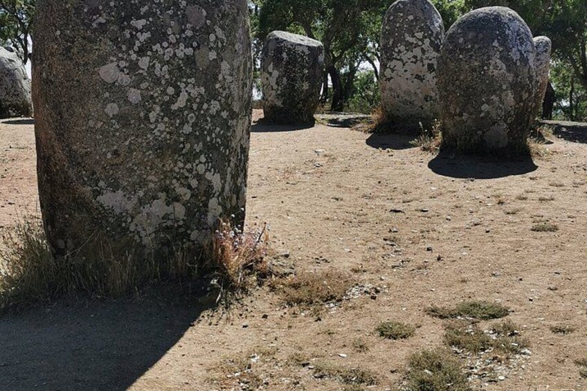 Évora Prehistory Megaliths & Ancient Landscapes Private Tour 5