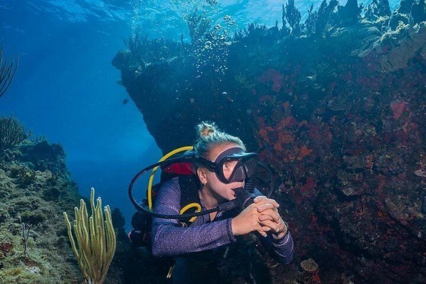 A diver underwater near a rocky reef with marine plants. 3