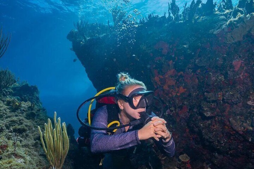 A person scuba diving underwater near a rocky reef with marine plants. 5
