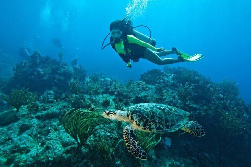 A diver swimming with a sea turtle near a coral reef. 1