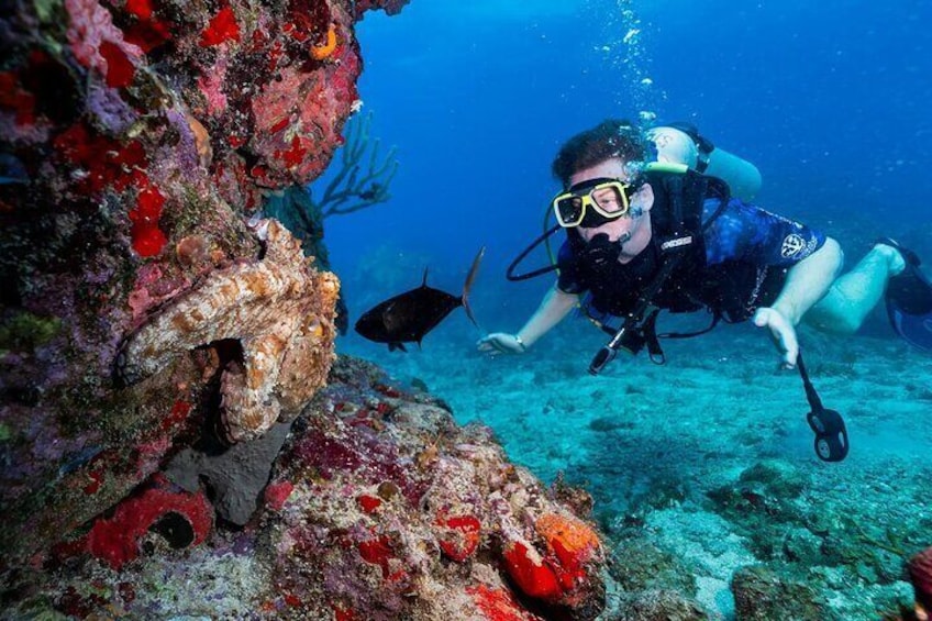 A diver exploring a vibrant coral reef with colorful marine life. 3
