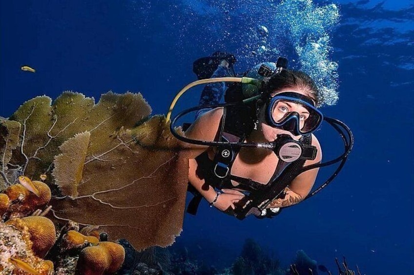 A diver with scuba gear underwater, surrounded by coral and marine life. 4