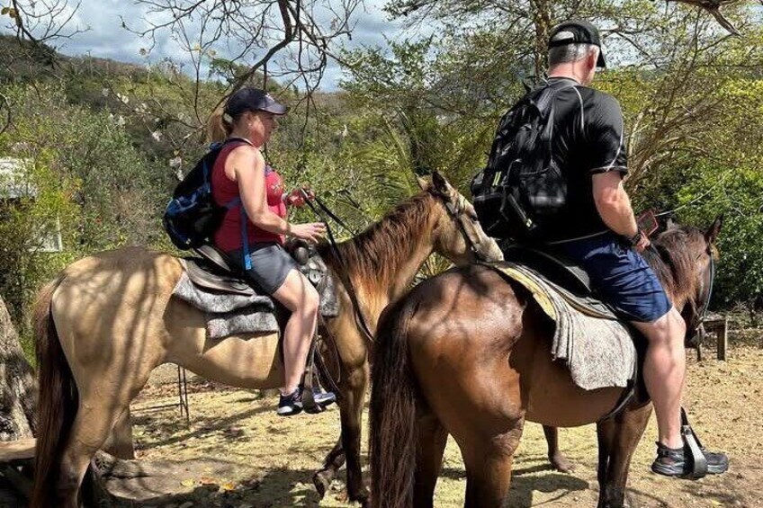 St. Lucia Horseback Riding & Zip Lining Adventure Tour 4