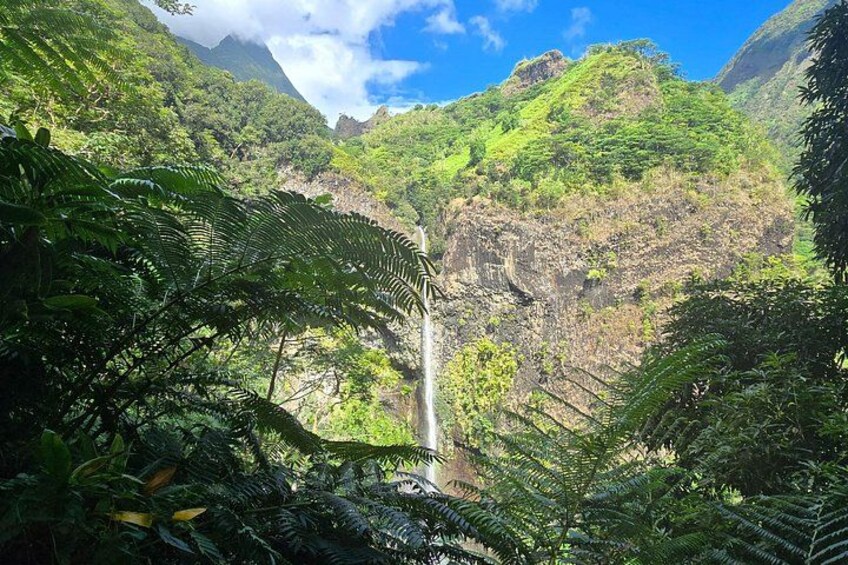 A lush green valley with a waterfall and dense foliage. 1