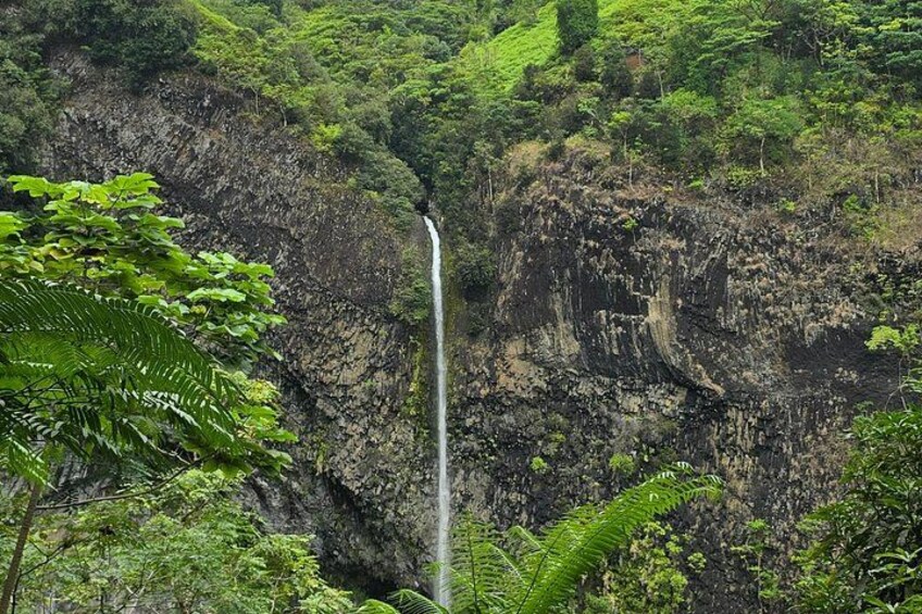 A waterfall cascading down a rocky cliff surrounded by lush greenery. 3