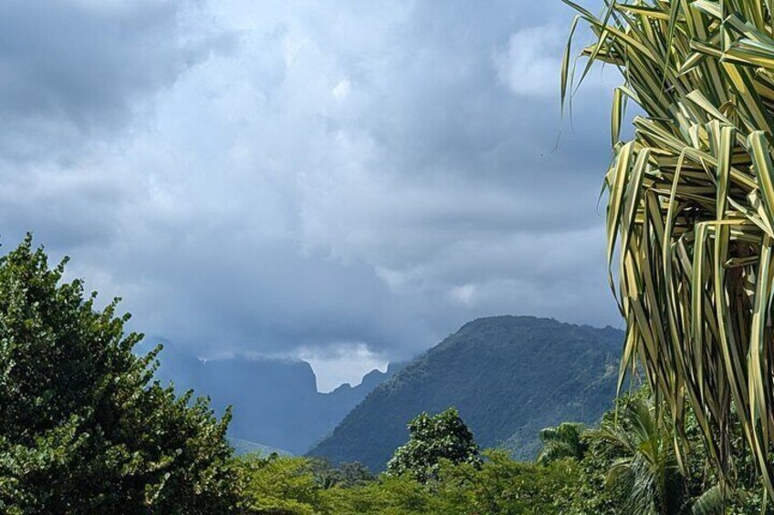 Eine gebirgige Landschaft mit üppiger Vegetation und einem bewölkten Himmel. 5