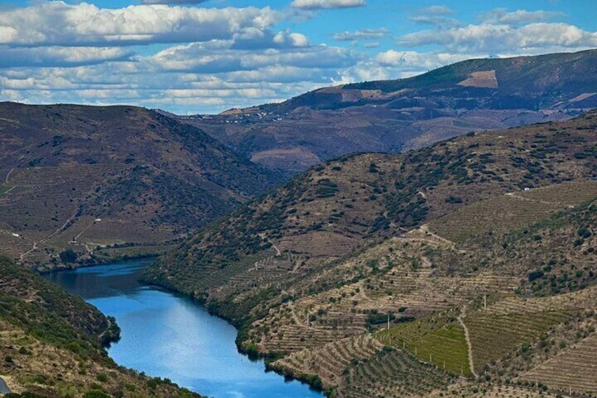 Shared Porto wine Tour By Minivan And Train 2