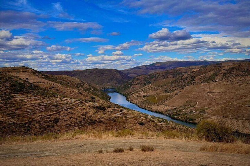 Shared Porto wine Tour By Minivan And Train 3
