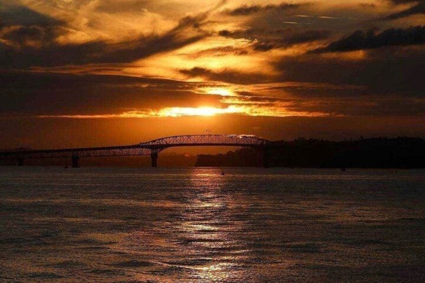 Auckland Sunset Harbour Cruise 5