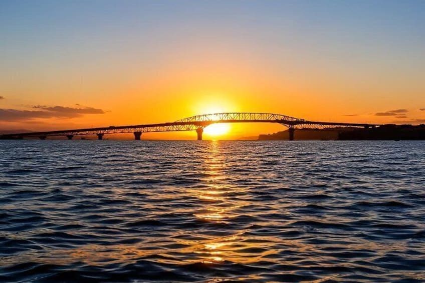 Auckland Sunset Harbour Cruise 3
