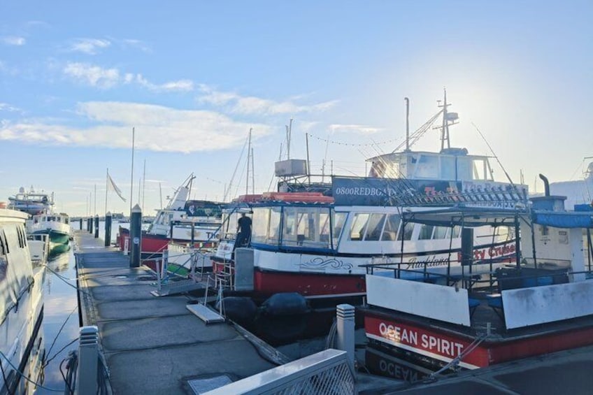 A marina with several boats docked, including a prominent 'Ocean Spirit' vessel. 2